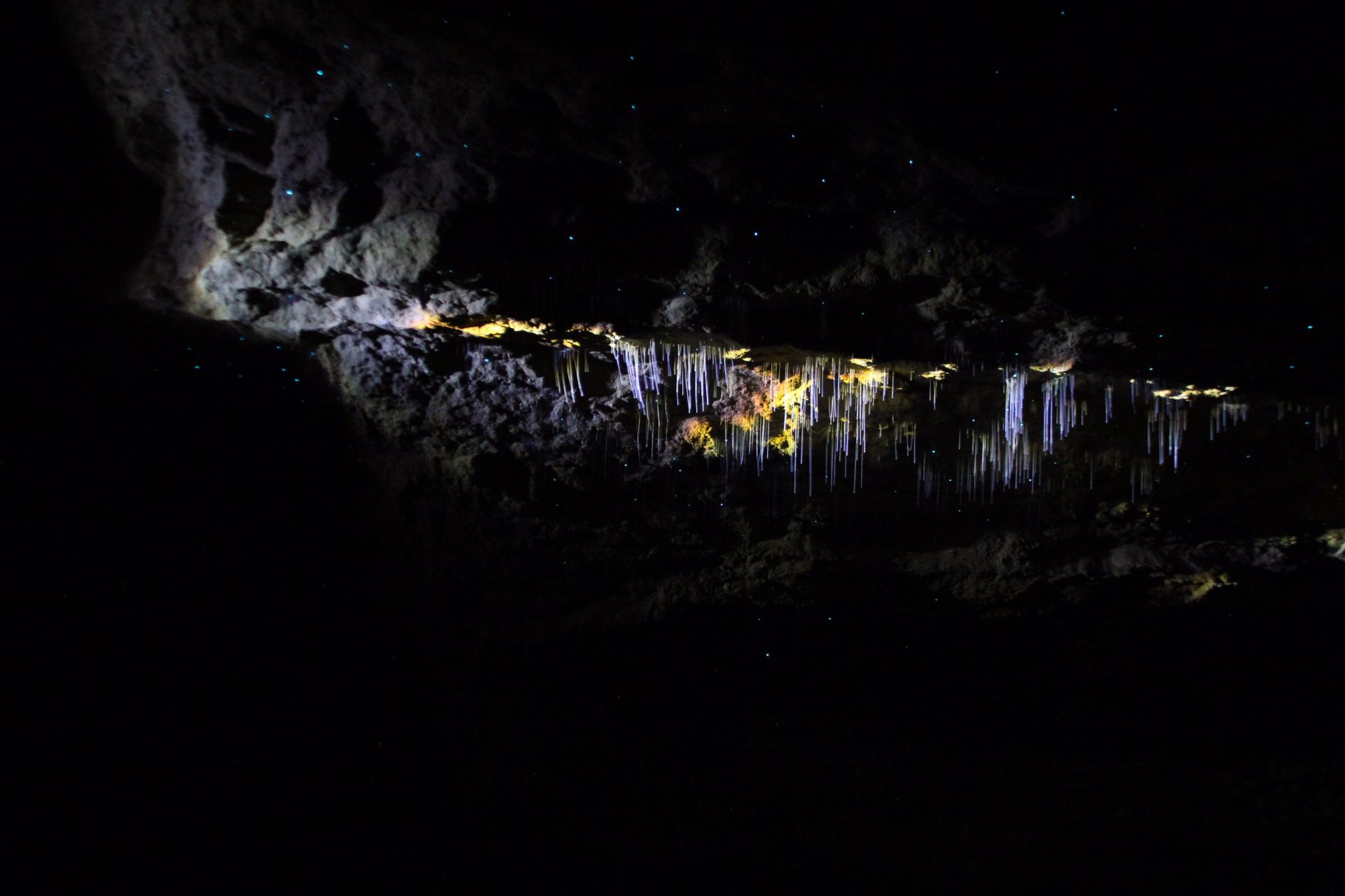Waitomo Caves, Travel Drift