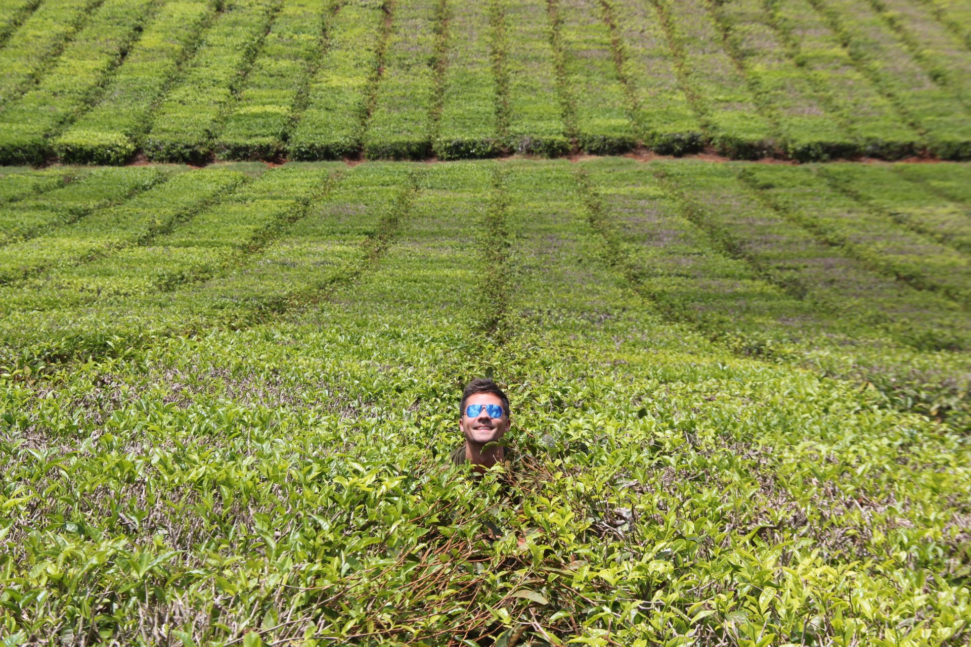 atherton tablelands, Travel Drift