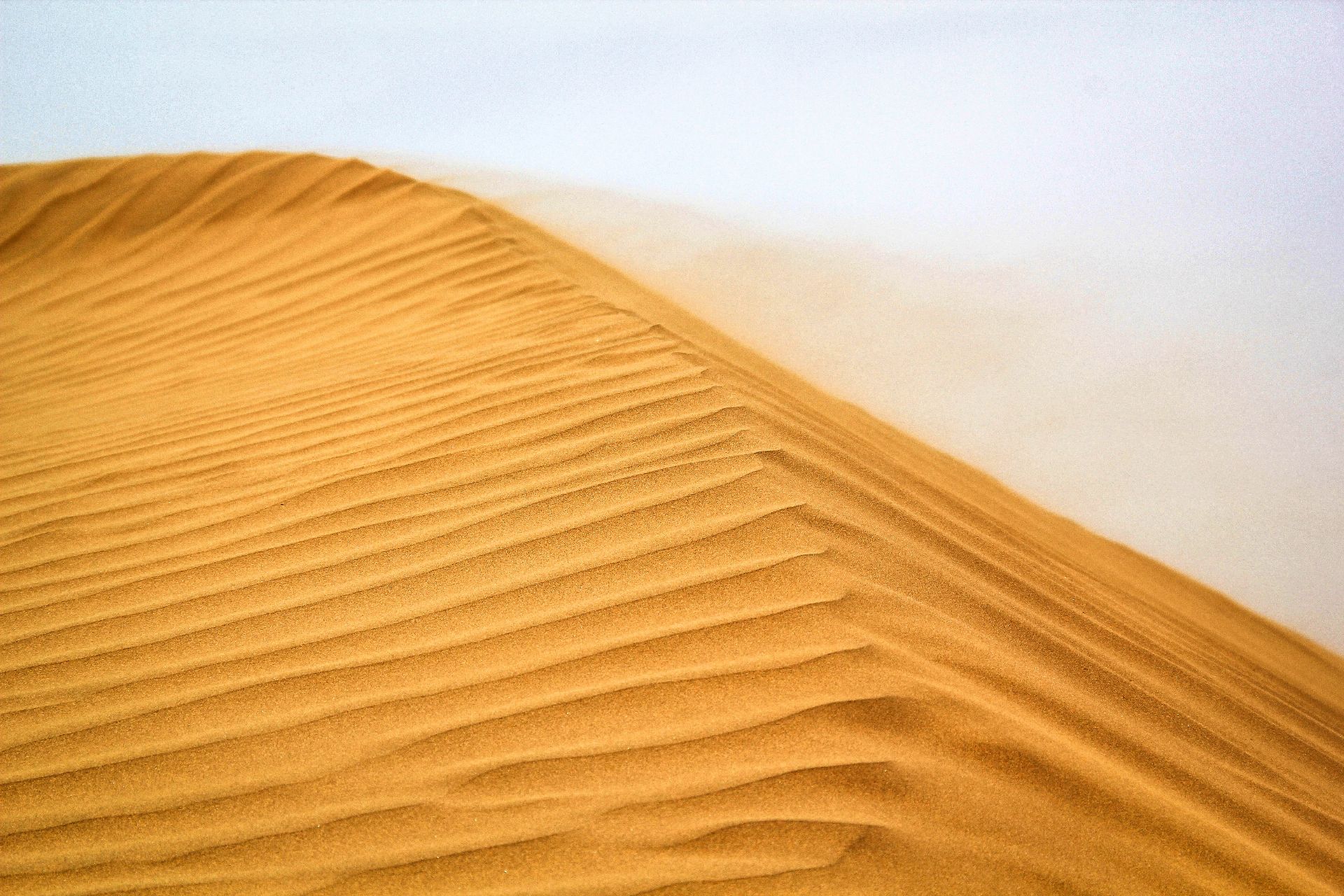Wüste Gobi, China, Asien, Travel Drift