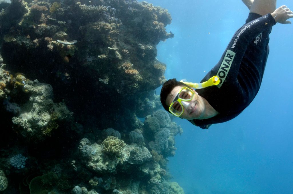 Great Barrier Reef, australia, Travel Drift