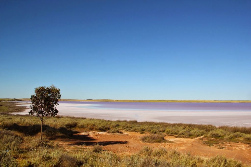 Coober Pedy to Adelaide, Australia, Travel Drift