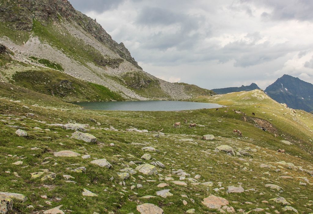 Silvretta