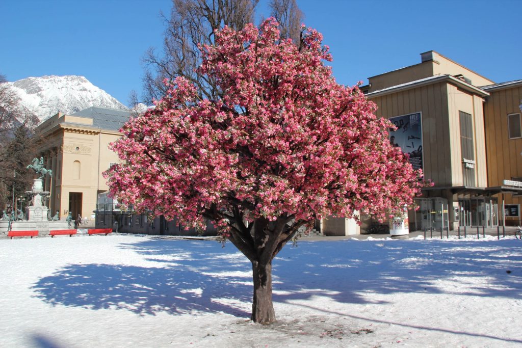Frühling in Innsbruck