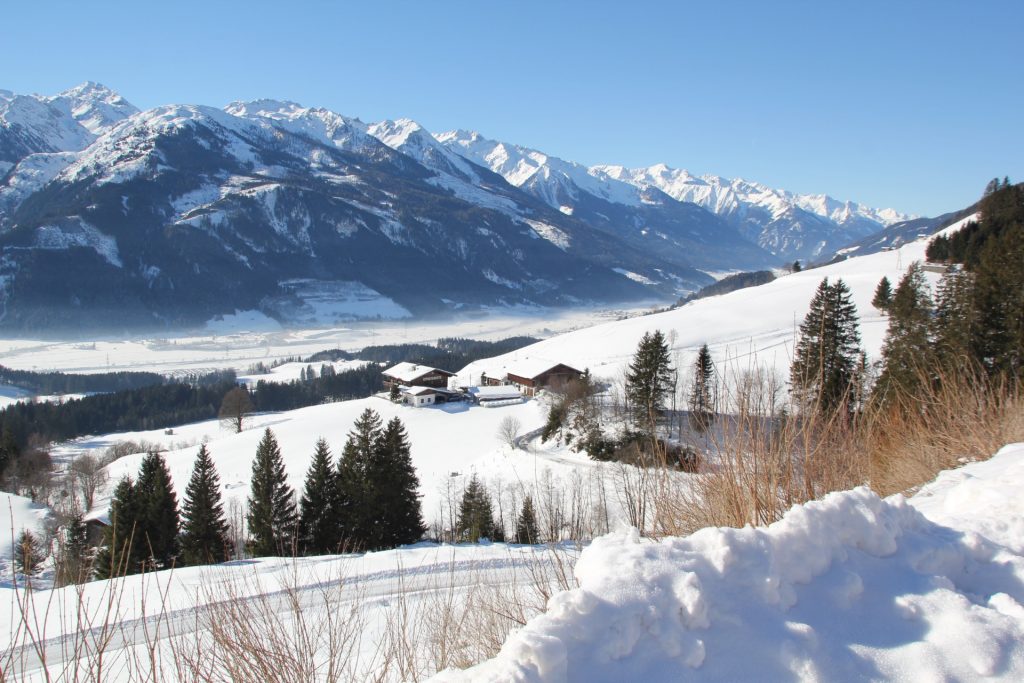 Blick auf die Salzach im Oberpinzgau