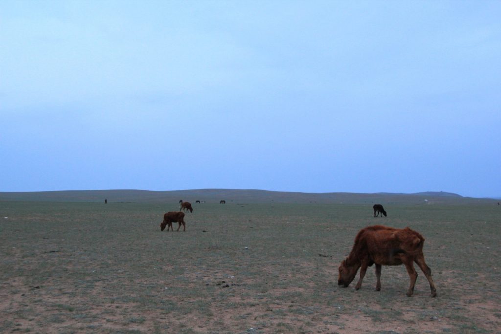 Xilamuren Grasslands, China, Travel Drift