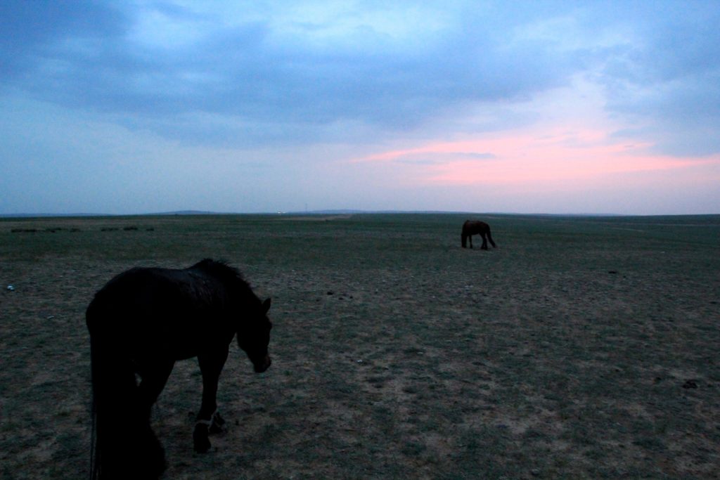 Xilamuren Grasslands, China, Travel Drift