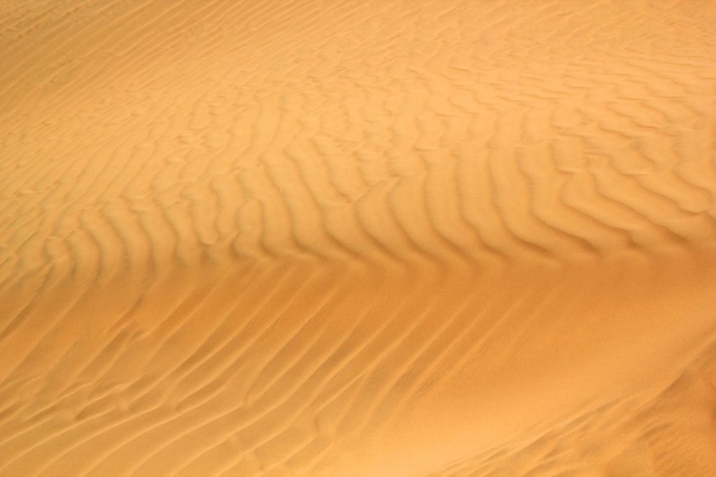Wüste Gobi, China, Travel Drift