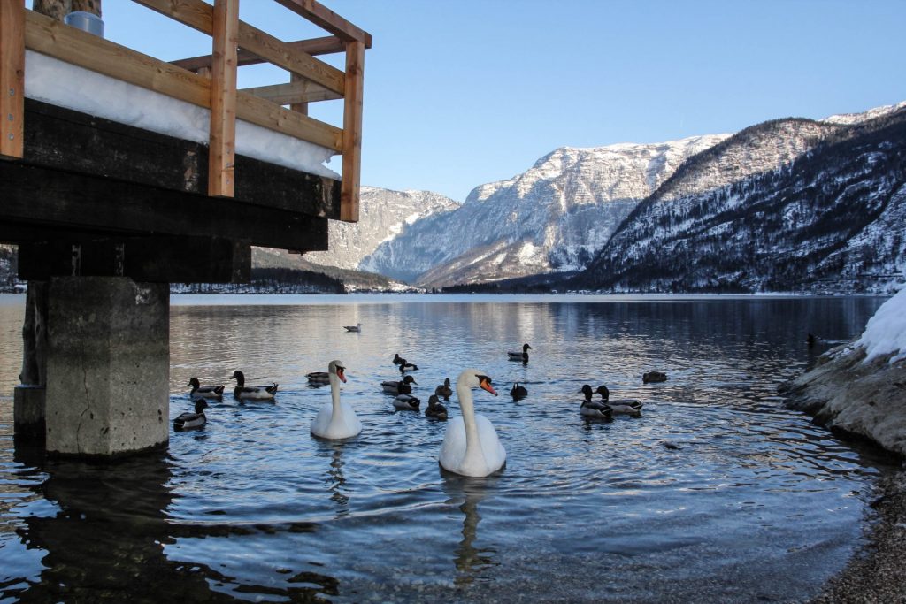 Hallstatt