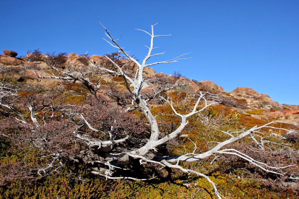 Mt. Fitzroy, Travel Drift