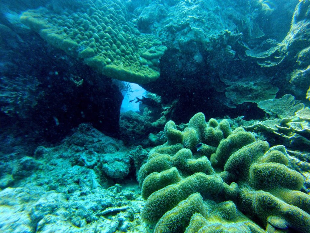 Great Barrier Reef, Australia, Travel Drift