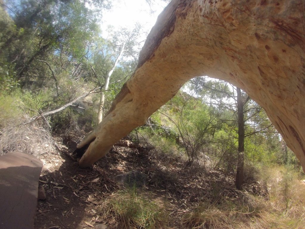 West MacDonnell Nationalpark, Australia, Travel Drift