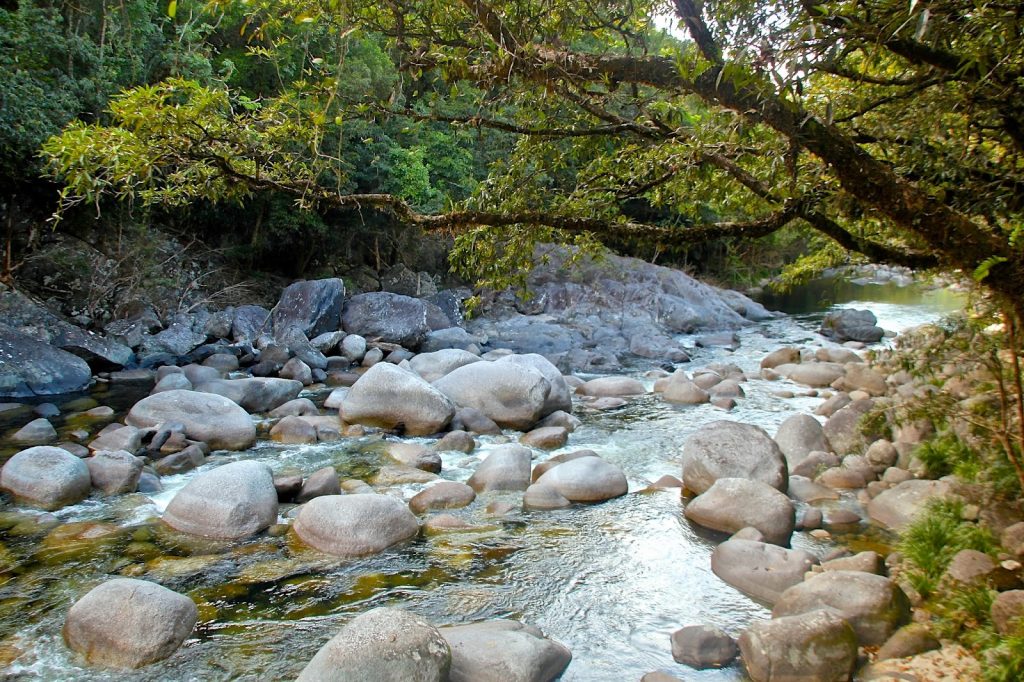 Daintree Nationalpark, Australia, Travel Drift