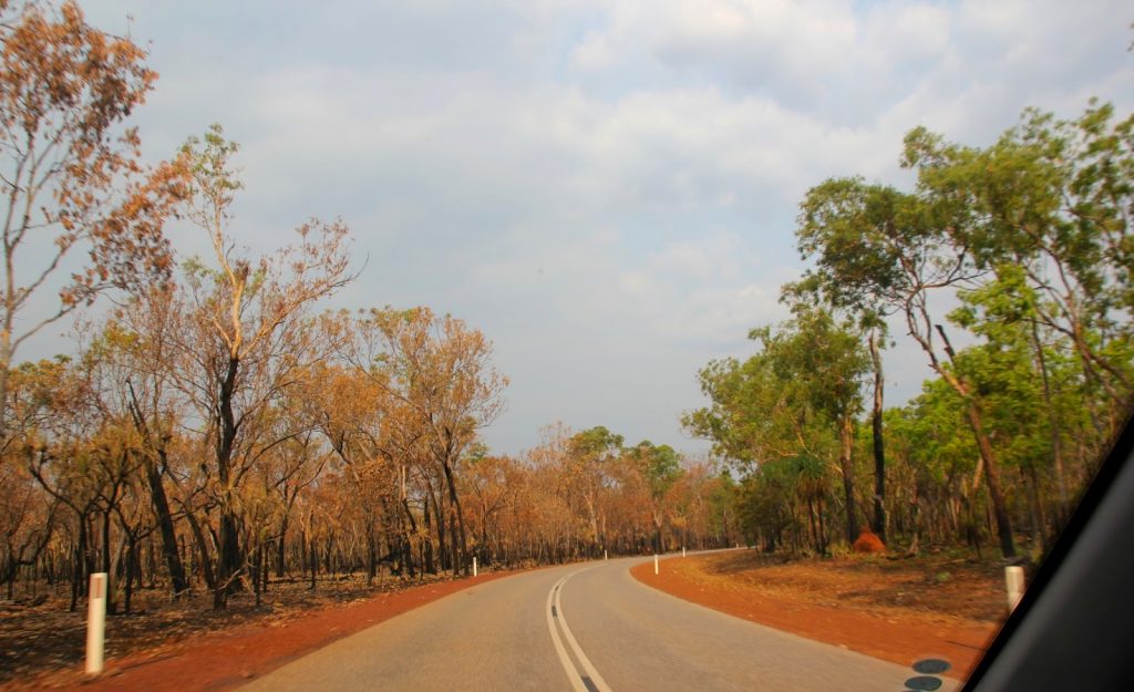 Litchfield Nationalpark, Australia, Travel Drift