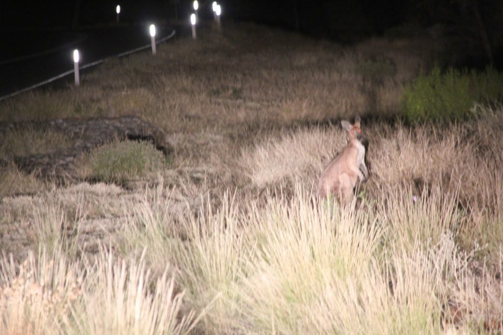 West MacDonnell Nationalpark, Australia, Travel Drift