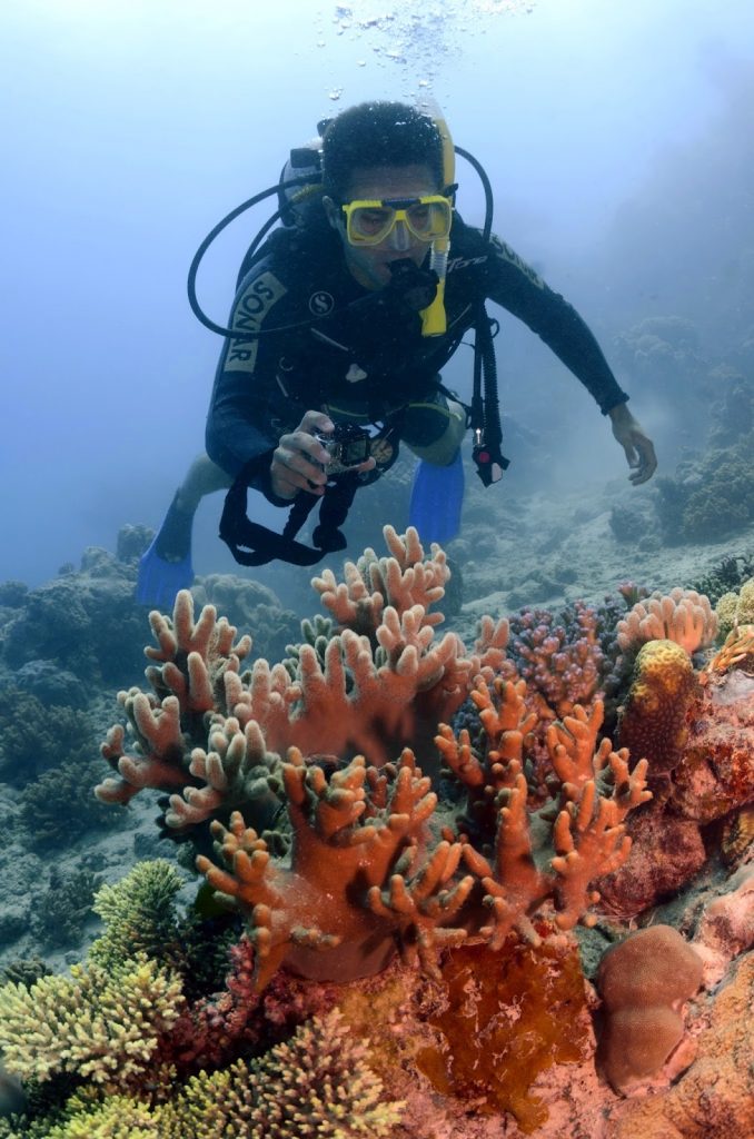 Great Barrier Reef, Australia, Travel Drift