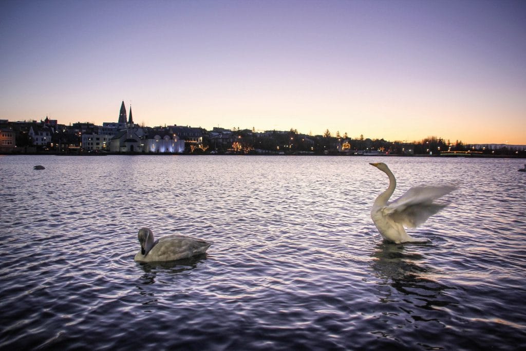 Reykjavik, Travel Drift, Iceland