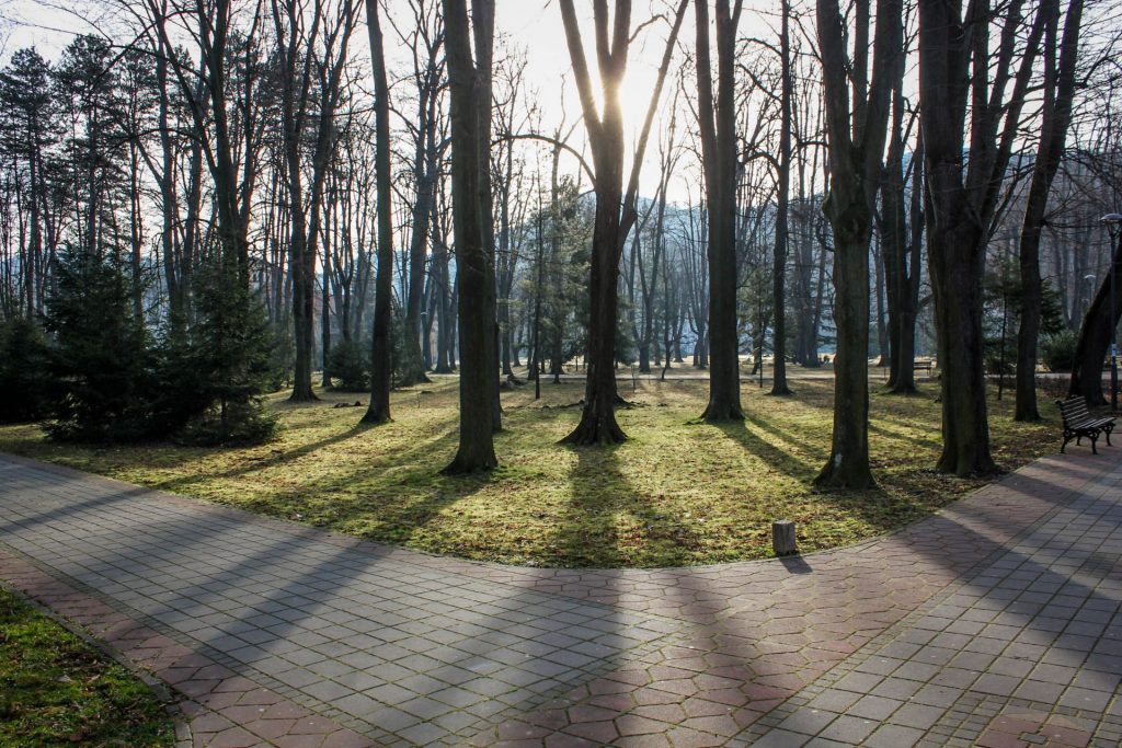 Loznica, Serbia, Travel Drift