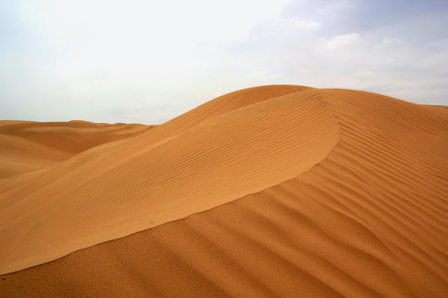 Wüste Gobi, China, Travel Drift