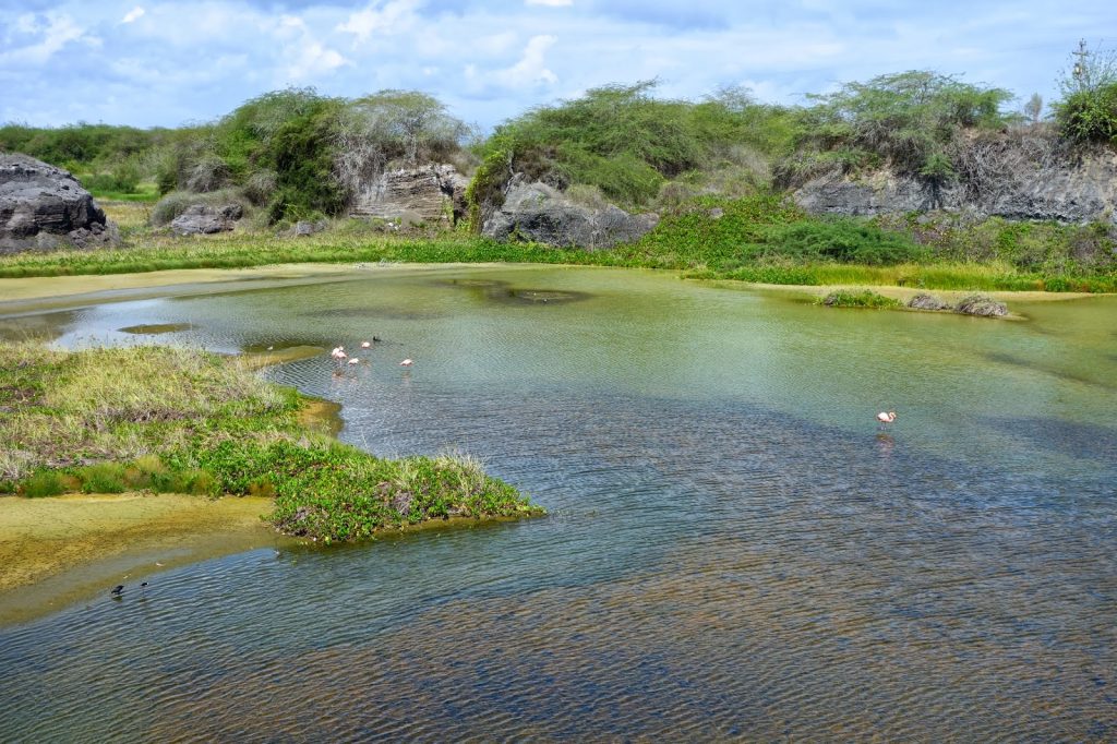 Isabela, Galapagos Islands, Travel Drift