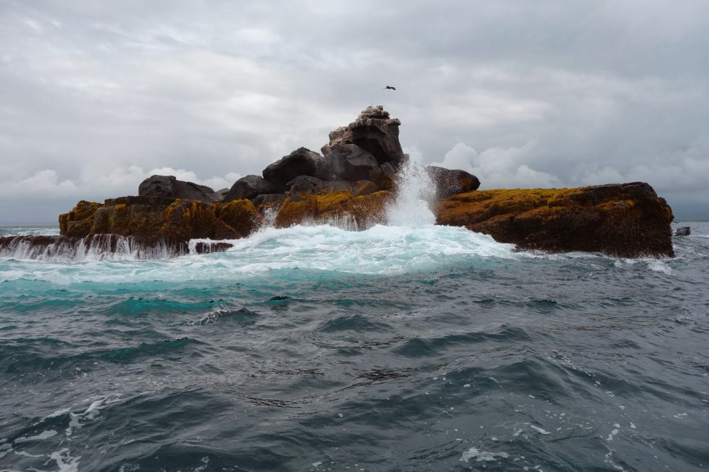 Isabela, Galapagos Islands, Travel Drift