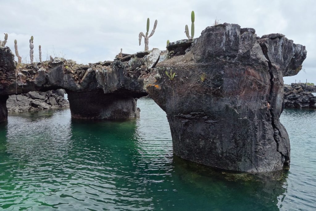 Isabela, Galapagos Islands, Travel Drift