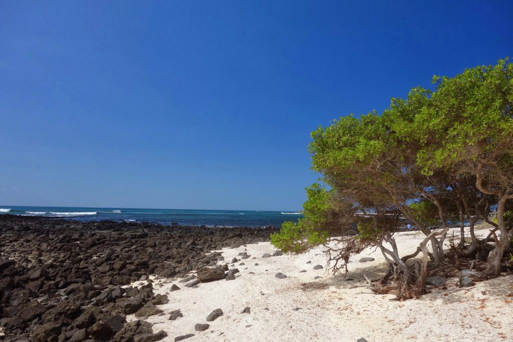 San Cristobal, Galapagos Islands, Travel Drift