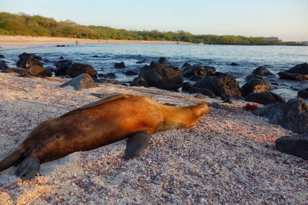 San Cristobal, Galapagos Islands, Travel Drift