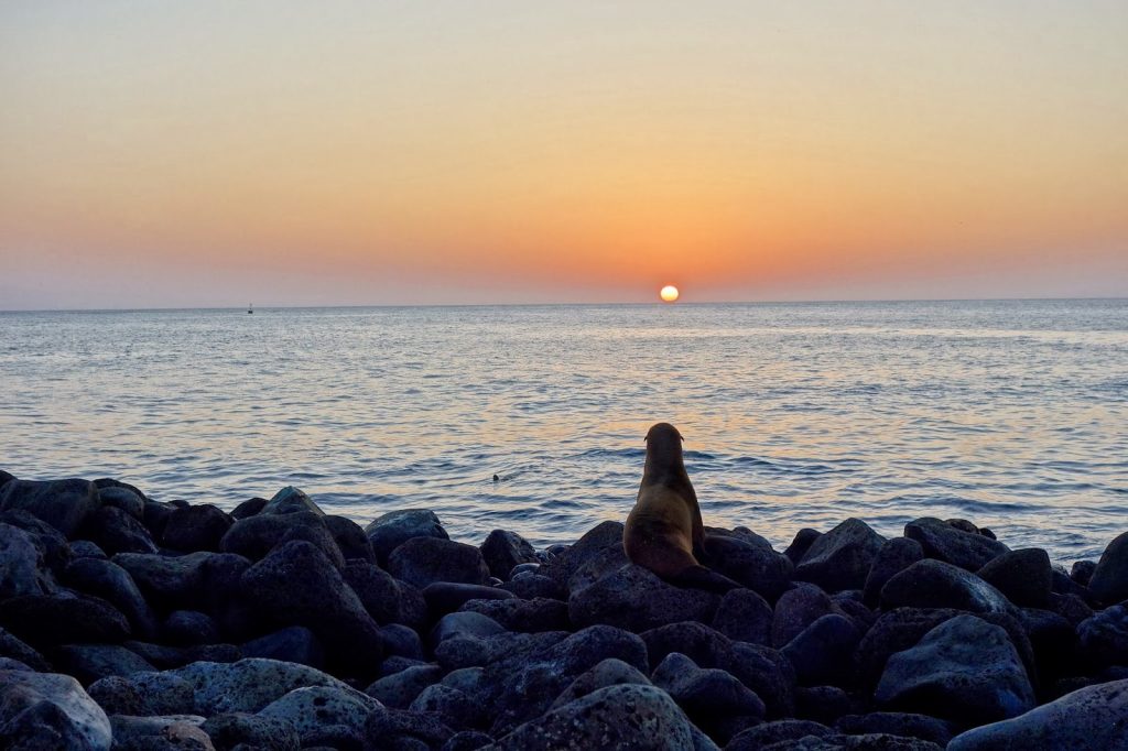 San Cristobal, Galapagos Islands, Travel Drift