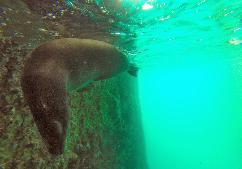 Kicker Rock, Galapagos Islands, Travel Drift