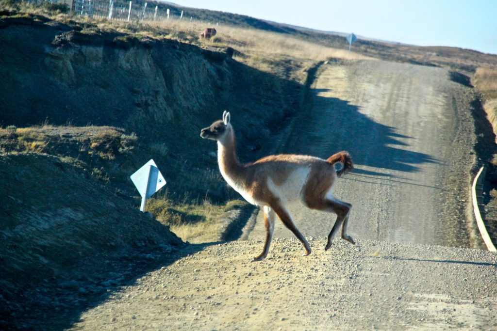 Bahia inutil, Chile, Tierra del Fuego, Travel Drift