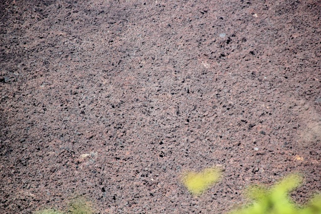 Isabela, Galapagos Islands, Travel Drift