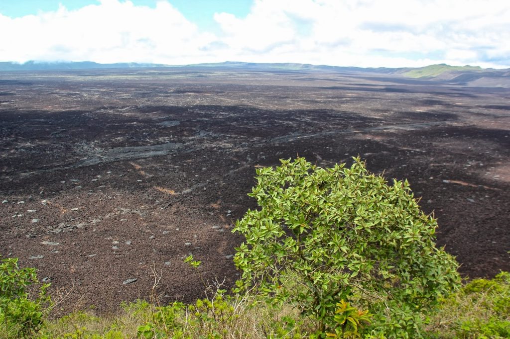 Isabela, Galapagos Islands, Travel Drift