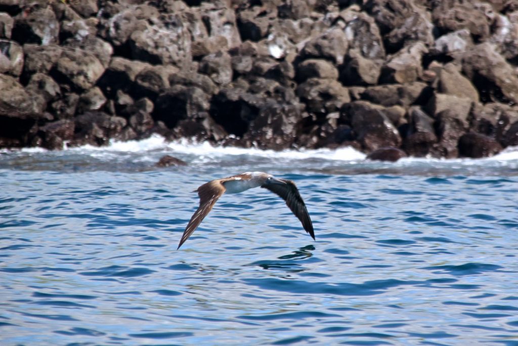 San Cristobal, Galapagos Islands, Travel Drift