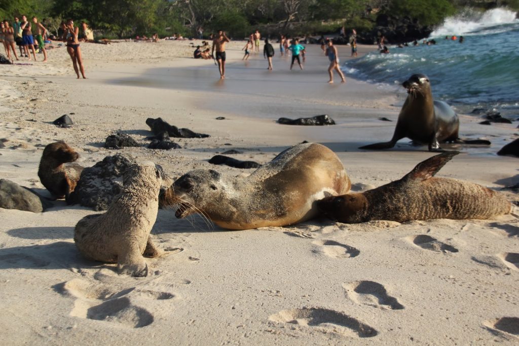 San Cristobal, Galapagos Islands, Travel Drift