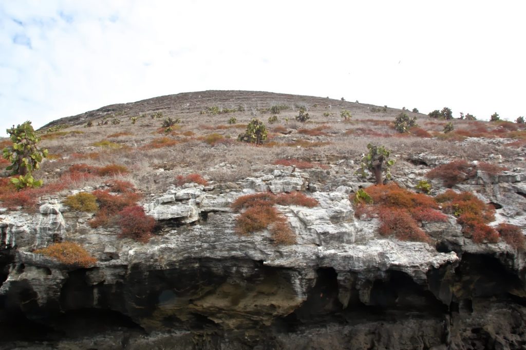 Daphne Major, Galapagos Islands, Travel Drift