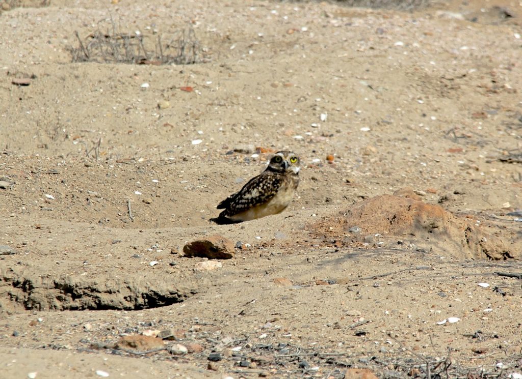 Chiclayo, Peru, Travel Drift