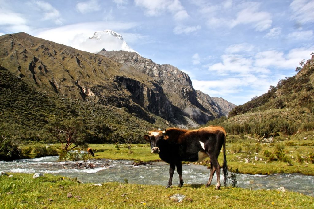 Huaraz, Peru, Travel Drift