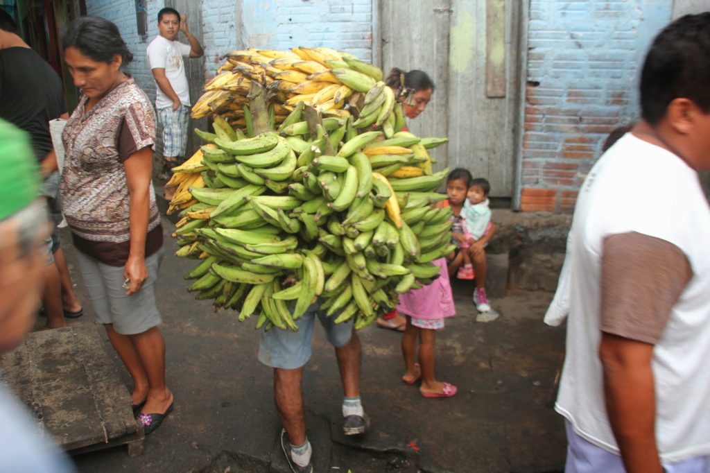 Iquitos, Peru, Travel Drift