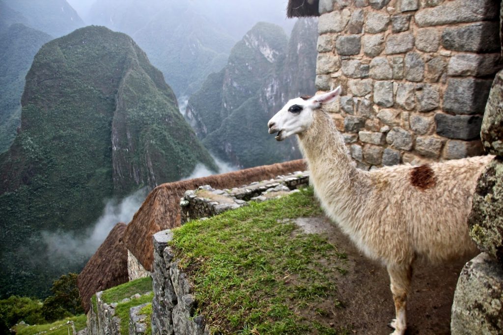 Macchu Picchu, Peru, Travel Drift