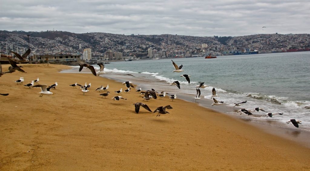 Valparaiso, Chile, Travel Drift