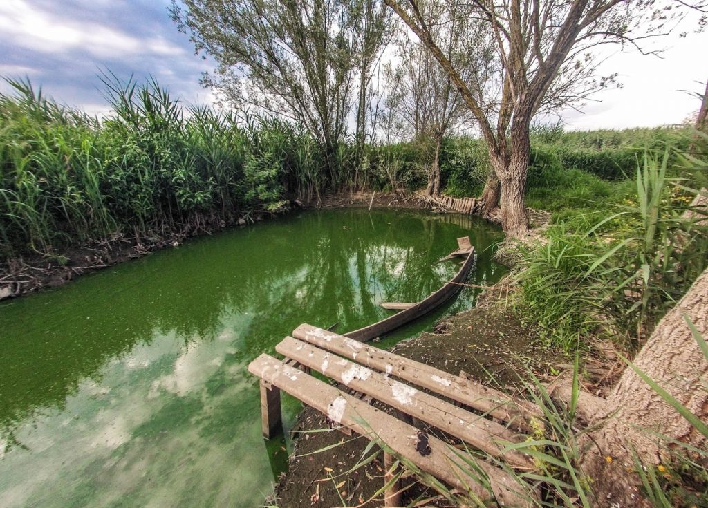 Padule di Fucecchio, Italy, Travel Drift