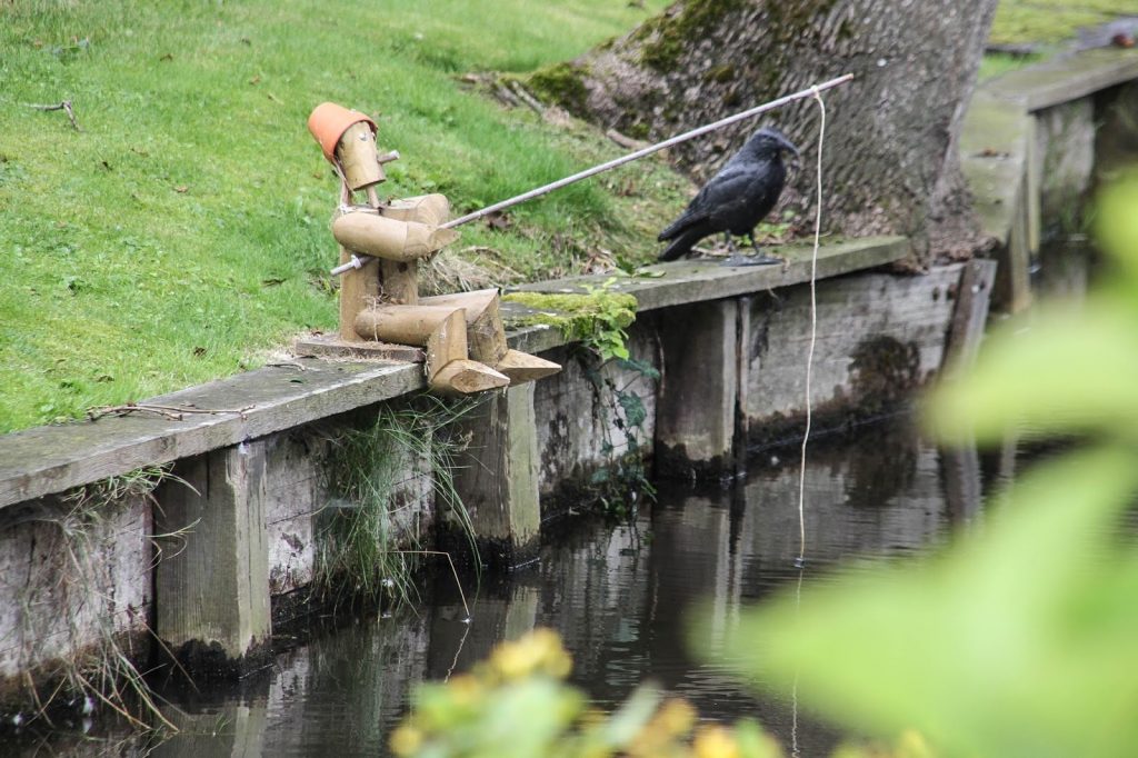 Giethoorn, Niederlande, Travel Drift