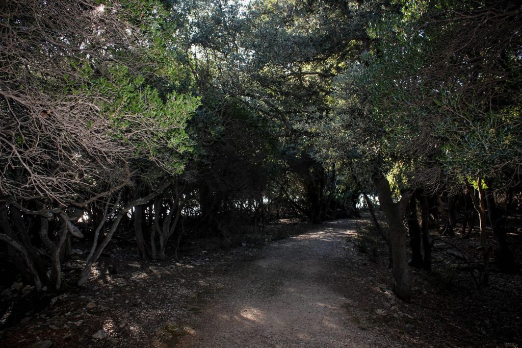 Brijuni Nationalpark, Croatia, Travel Drift