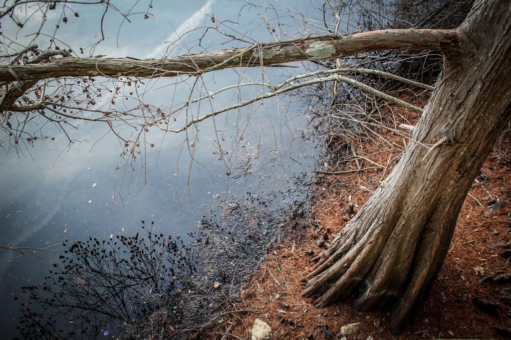 Brijuni Nationalpark, Croatia, Travel Drift