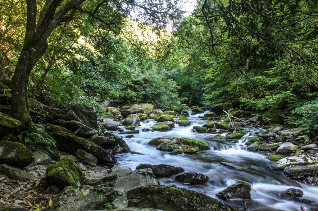 Exmoor Nationalpark, England, Travel Drift