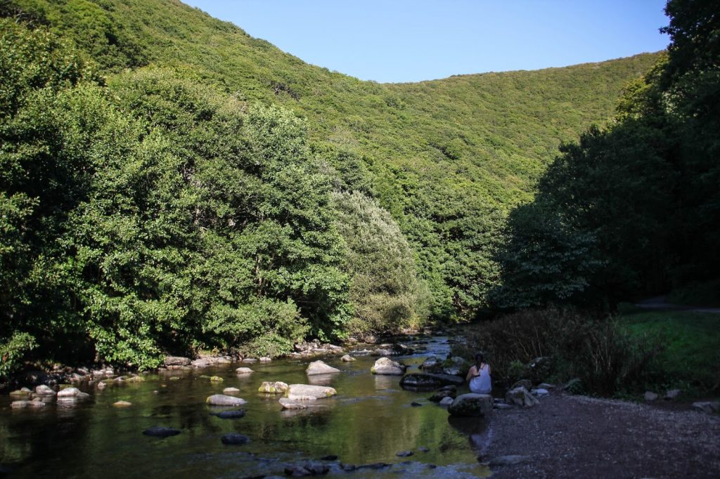 Exmoor Nationalpark, England, Travel Drift