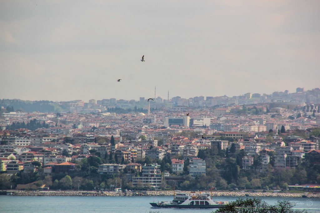 Istanbul, Turkey, Travel Drift