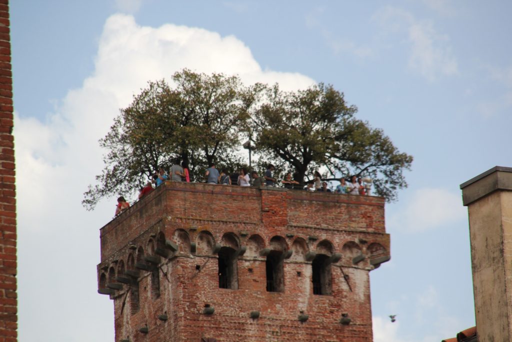 Lucca, Italy, Travel Drift