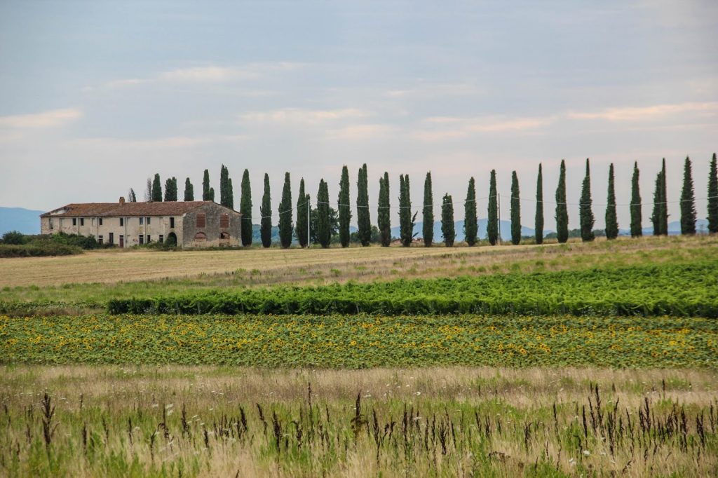 Padule di Fucecchio, Italy, Travel Drift