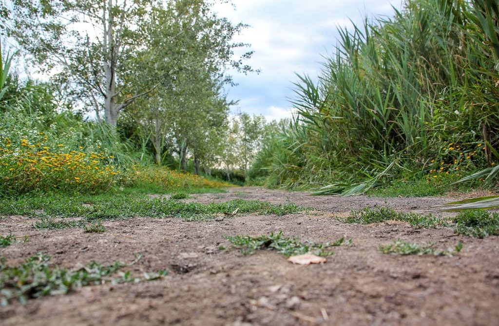 Padule di Fucecchio, Italy, Travel Drift